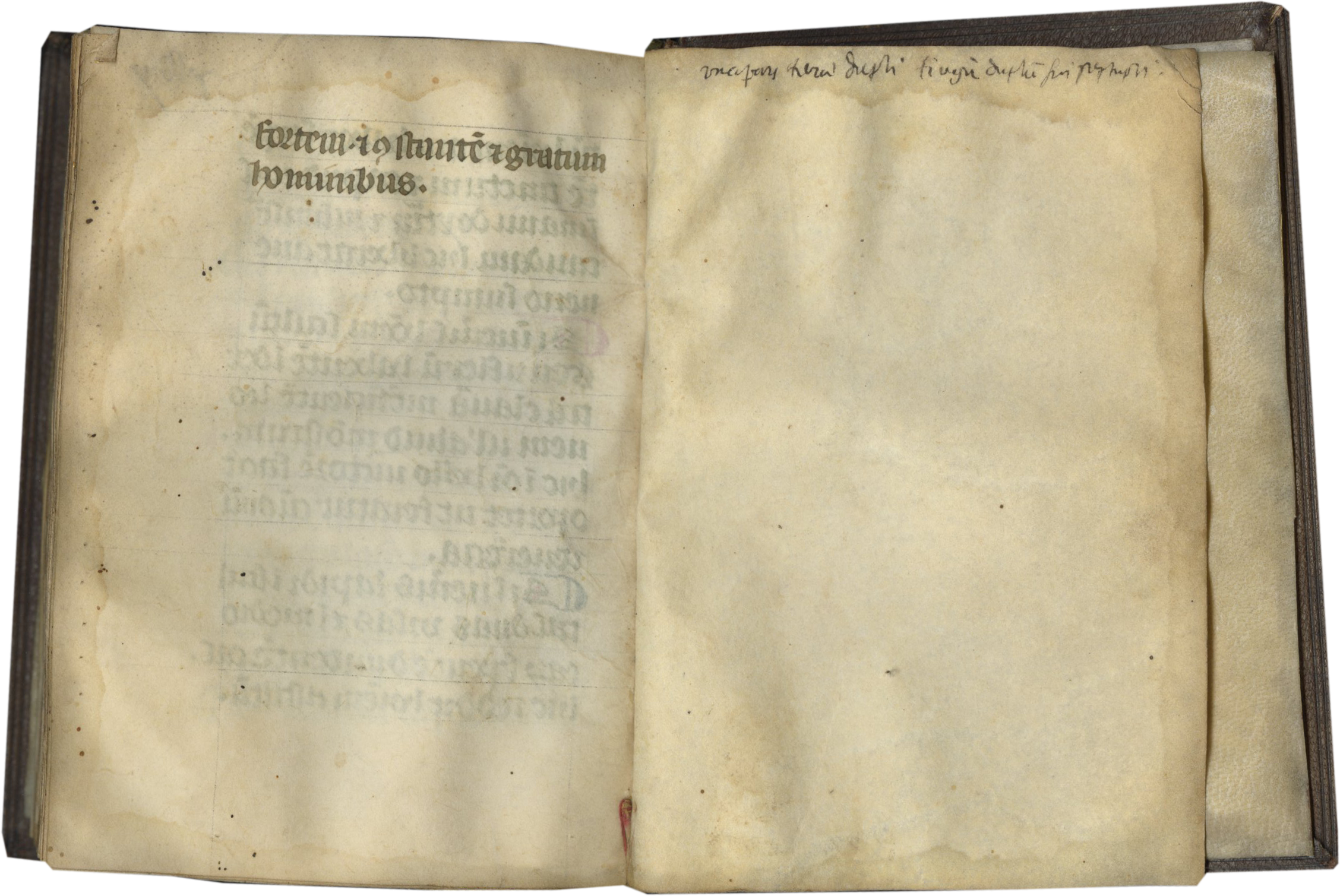 The Book of Stones : Medieval Text Manuscripts The Book of Stones : Medieval Text Manuscripts